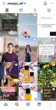 Gestion des réseaux sociaux Nancy – Instagram Minalys par Côme Communication