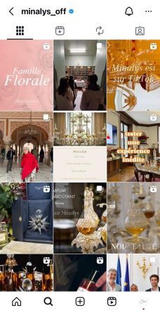 Gestion des réseaux sociaux Nancy – vidéo TikTok Minalys