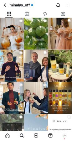 Gestion des réseaux sociaux Nancy – vidéo Instagram Minalys